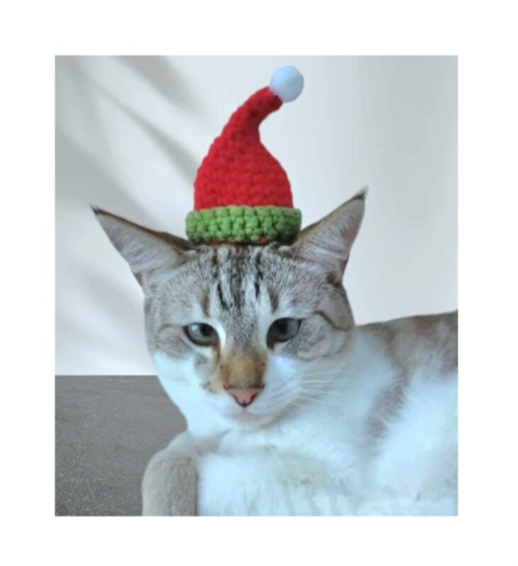 Crochet Elf Santa Hats for Cats and Small Dogs